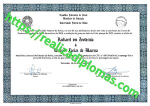 Consultar Diploma pelo CPF Mec 2 Consultar Diploma pelo CPF Mec