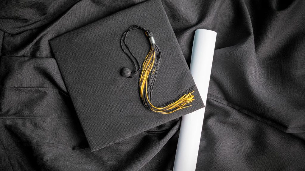Diploma online